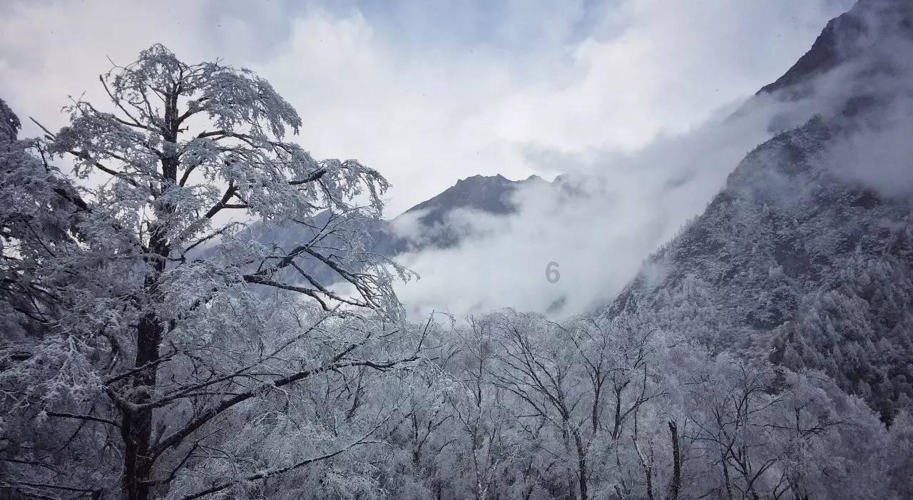 姚鼐怎么念呀？？？游戏画面